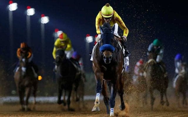 【サウジカップデー】海外ブックメーカーは日本馬を支持　ターフSは前年覇者ソングラインが1人気