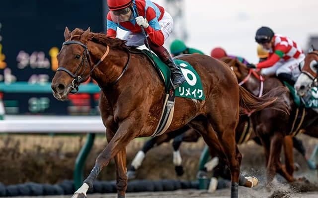 福永騎手ラスト騎乗のリメイクは4番ゲート リヤドダートスプリント枠順