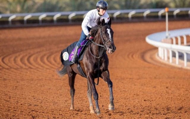 サウジカップデー日本出走馬一覧