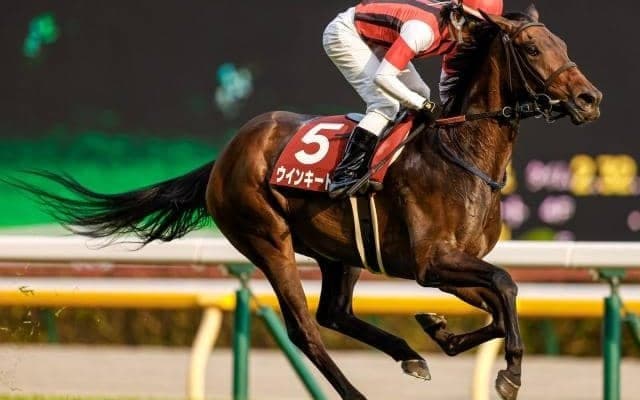 ゴールドシップ初年度産駒のウインキートスが引退 21年目黒記念覇者