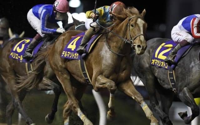 【サウジダービー枠順】日本馬4頭が出走 デルマソトガケは4番ゲートに