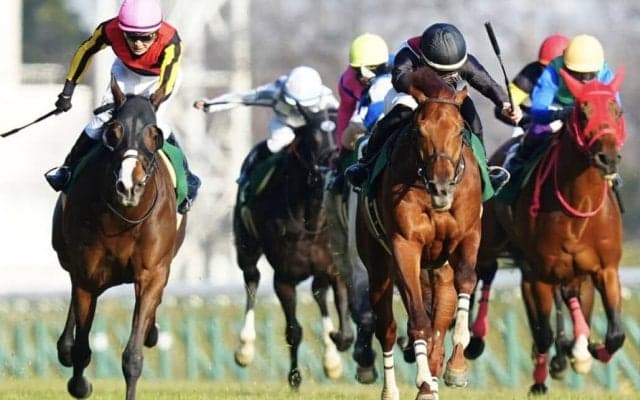 【ダイヤモンドS】ミクソロジーが大外から一閃、重賞初制覇…レコードで決着