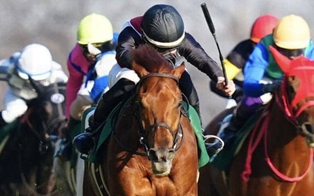 【ダイヤモンドS】西村淳「関係者がすごく手を尽くしてくれました」ミクソロジーが重賞初制覇