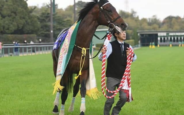 【サウジCオッズ】日本勢はジュンライトボルトとパンサラッサが上位評価