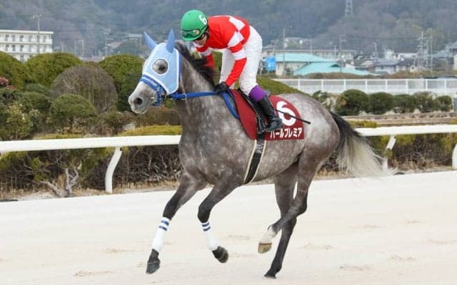 【兵庫ウインターカップ】パールプレミアが2年ぶり重賞V