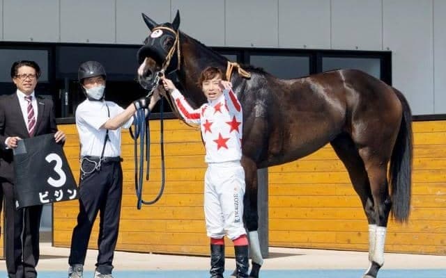 池添騎手を悩ませた「ビジン」が芝3000m戦に挑戦へ