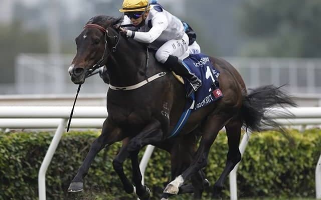 香港G1・7勝の最強マイラーVS2000m無敗の中距離王 26日香港ゴールドCで再戦へ