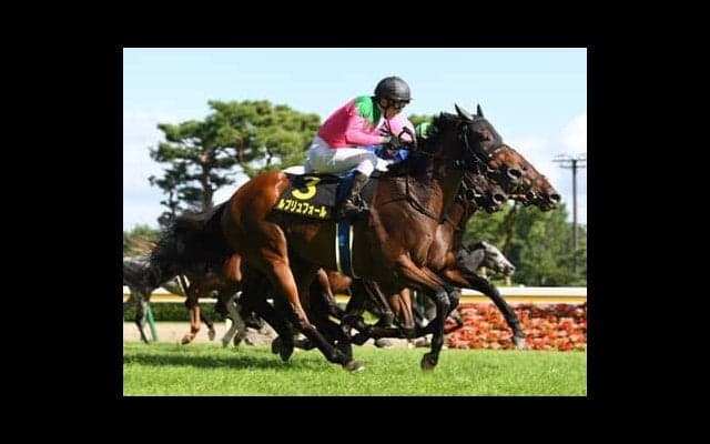 阪急杯の注目は「芝1400ｍを12連戦中」のロードカナロア産駒。松永幹夫調教師のラスト重賞勝ちとなった日付・レースで再現なるか
