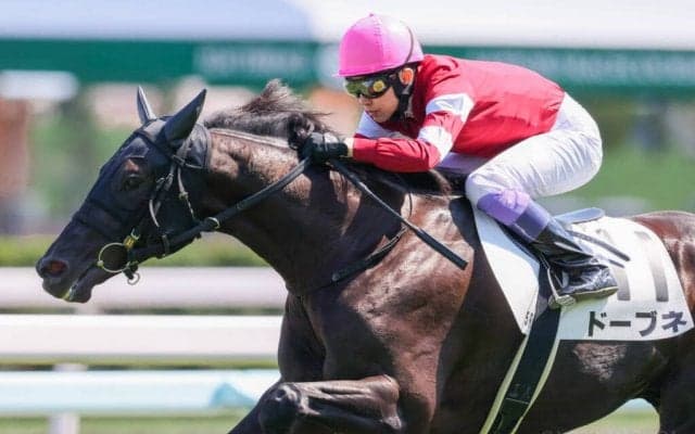 【武豊日記】長い間、本当にお世話になりました