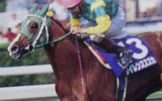 SS産駒で時代を引っ張った橋田師 サイレンススズカ、アドマイヤベガなどでGI制覇