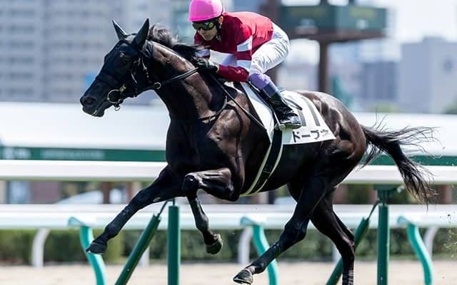 藤田晋氏所有の5億円ホースに重賞初制覇のチャンス 中山開幕週は逃げ馬を狙え！