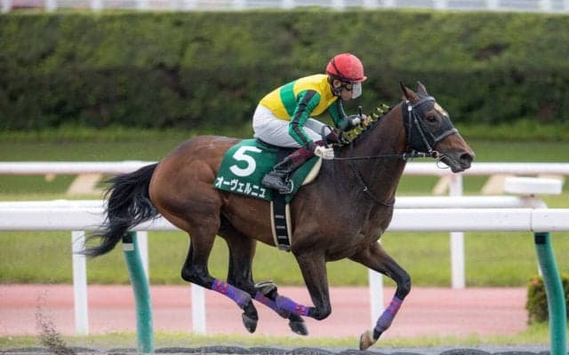 オーヴェルニュが競走馬登録抹消
