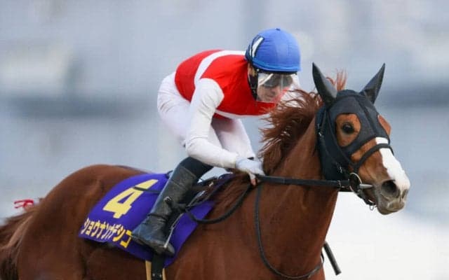 ショウナンナデシコが競走馬登録抹消