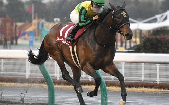 重賞2勝のオーヴェルニュが登録を抹消 浦和競馬に移籍