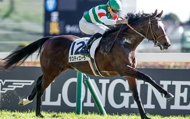 タスティエーラやトップナイフなど弥生賞に10頭