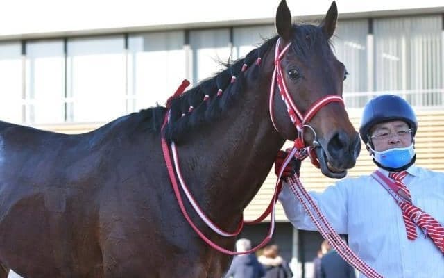 【今日の注目ポイント】中山開催がスタート 深夜にはサウジCデー