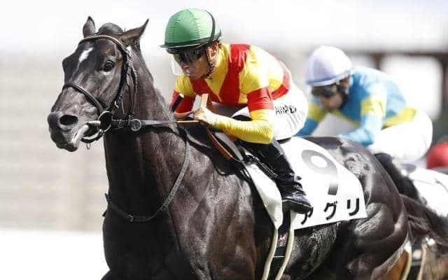 【阪急杯予想】人気薄も好走！ 近年顕著になってきている前走傾向