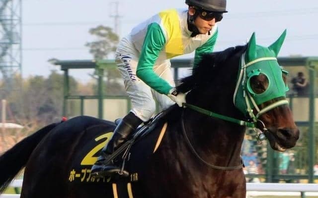 【日曜のトラックバイアス】阪神内回りは超内枠有利！ ホープフルサインの一発があるぞ