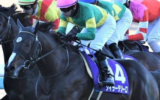 【高千穂特別】最終週の芝で末脚全開！ タイラーテソーロが決める