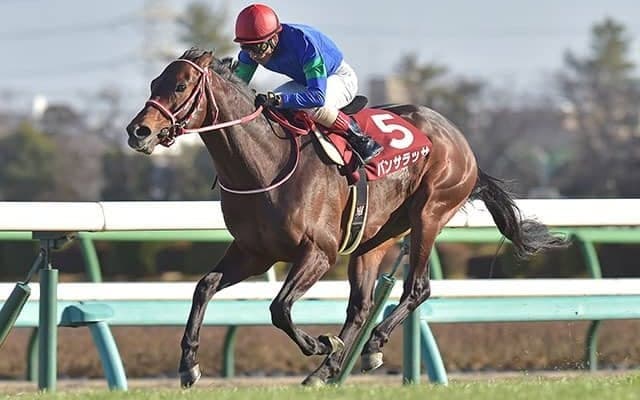 【サウジC結果】パンサラッサが逃げ切り海外芝ダ両G1制覇達成！世界最高賞金1000万ドルを獲得