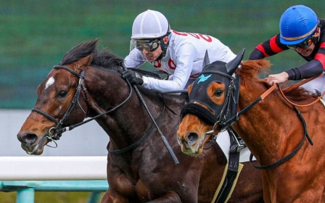 【阪神7R】武豊 モンテディオが際どく逃げ切り