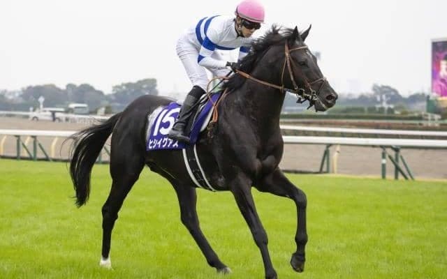 【中山記念予想】上半期GIの行方を占う重要な一戦 実力馬有利もコース実績を大切に