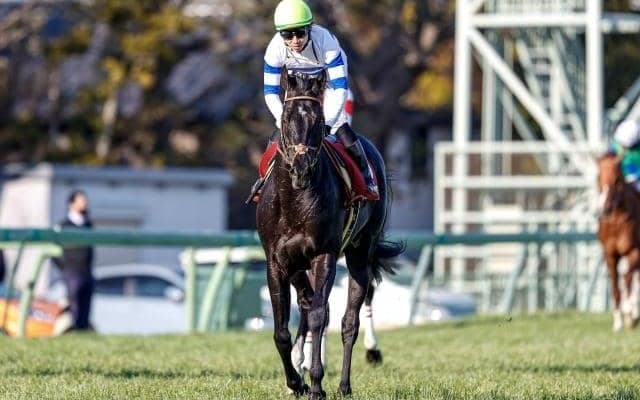 【中山記念予想】2・3番人気馬優勢＆人気薄馬は出番なし？ 狙うのは条件ピッタリのあの馬！