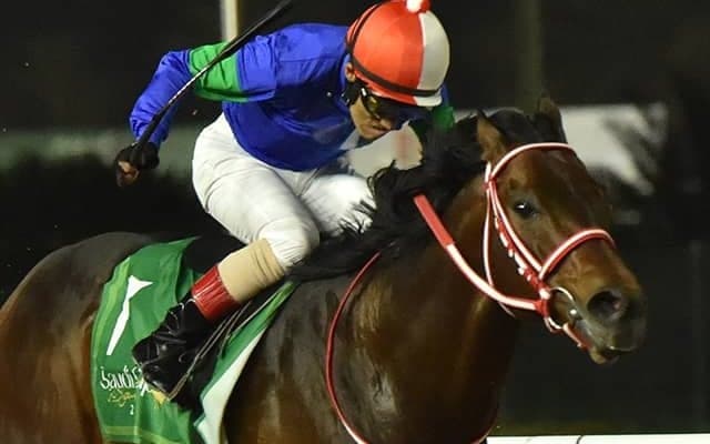 1000万米ドル獲得のパンサラッサ 歴代獲得賞金ランクでキタサンブラック抜き2位浮上へ