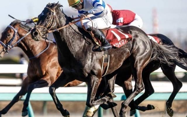 【中山記念結果】ヒシイグアスが2年ぶりの復活V 人気のソーヴァリアントは不発で9着