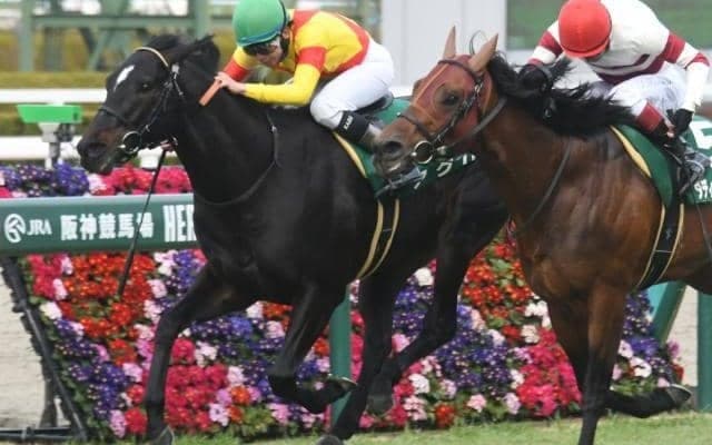 【阪急杯結果】アグリが重賞初挑戦を押し切り4連勝 グレナディアガーズは伸びを欠き7着