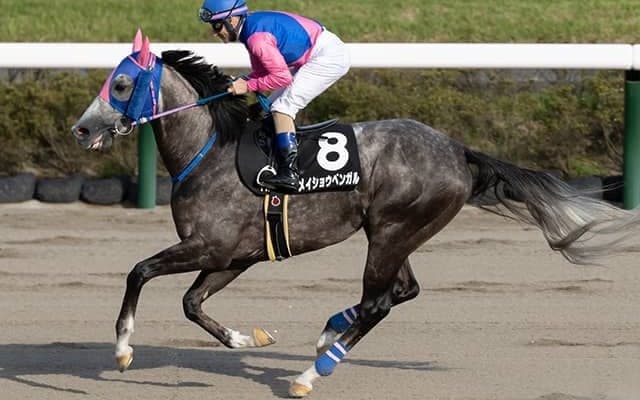 2月26日の出来事一覧 メイショウベンガルが出走取消など/中山・阪神・小倉