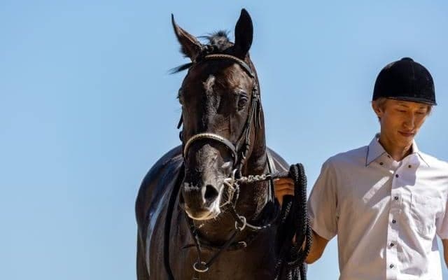 GIトライアルのチューリップ賞、弥生賞ディープ記念など/今週の競馬界の見どころ