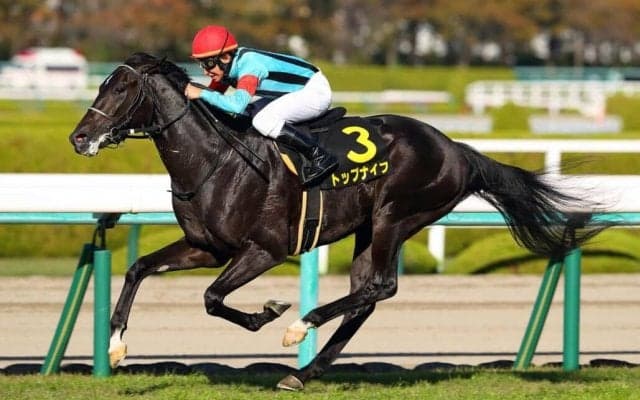 【弥生賞登録馬】トップナイフなど12頭