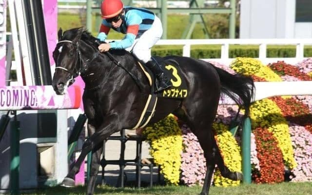 【弥生賞ディープ記念見どころ】トップナイフの惜敗続きピリオドなるか