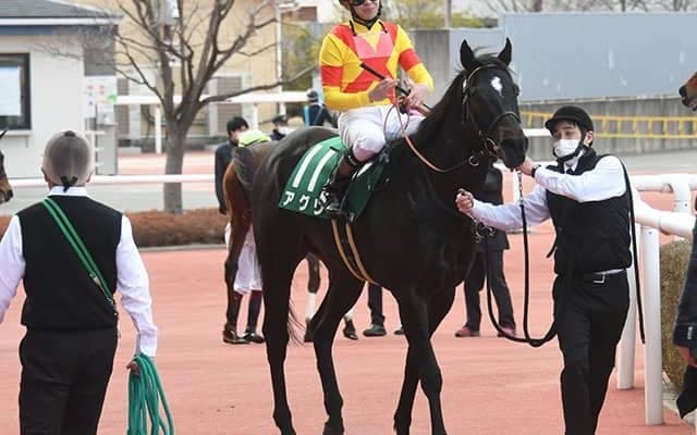 【阪急杯】売上は51億6288万9500円で昨年から約4億円減少