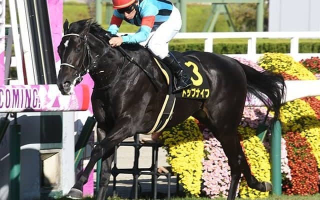 【AI予想・弥生賞】コース適性は間違いなし!? クラシック前哨戦で強豪相手の経験が活きる