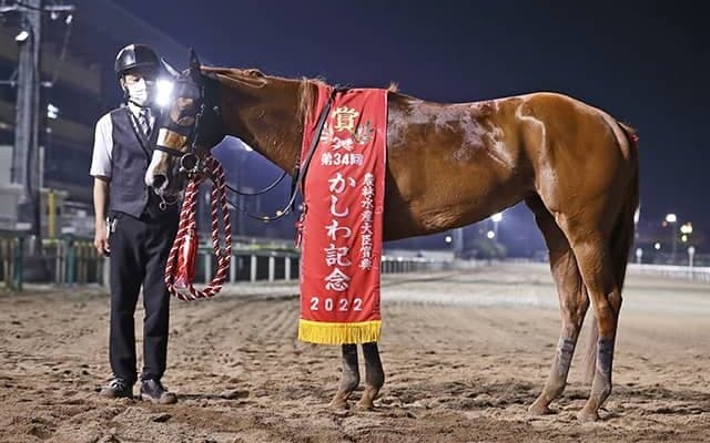 地方交流重賞4勝のショウナンナデシコ、2021年目黒記念覇者ウインキートスらがJRA登録を抹消