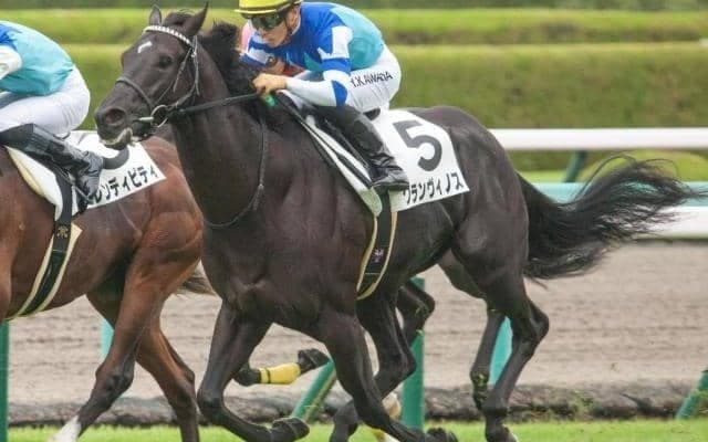 世界的な名牝系の良血馬 友道厩舎の“登竜門”で重賞初V狙う