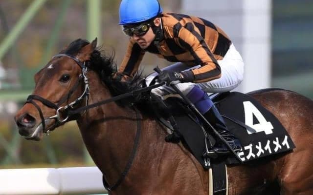 武豊騎手が数々の名馬にまたがりレースを彩ってきたチューリップ賞 今年はモズメイメイで参戦