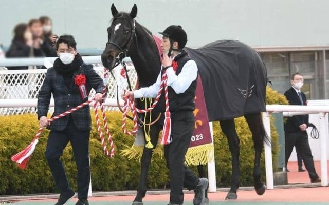 阪急杯勝ち馬の父は海外G1スプリンター 牝系の質も上々の良血