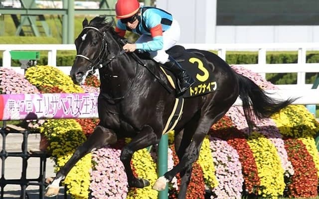 【弥生賞想定騎手】トップナイフは横山典弘騎手、グランヴィノスは川田将雅騎手