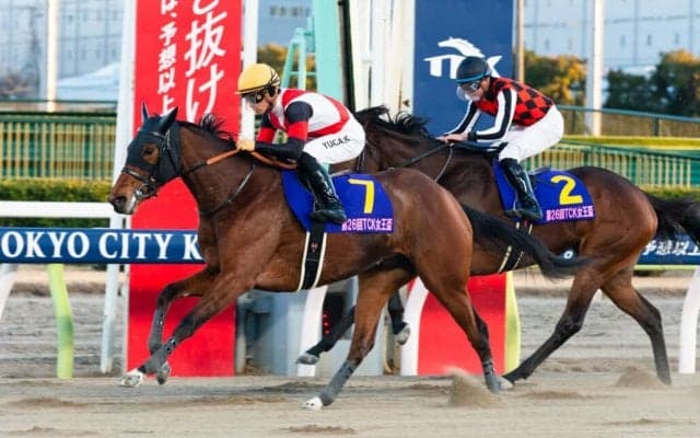 【エンプレス杯】グランブリッジは2枠2番へ