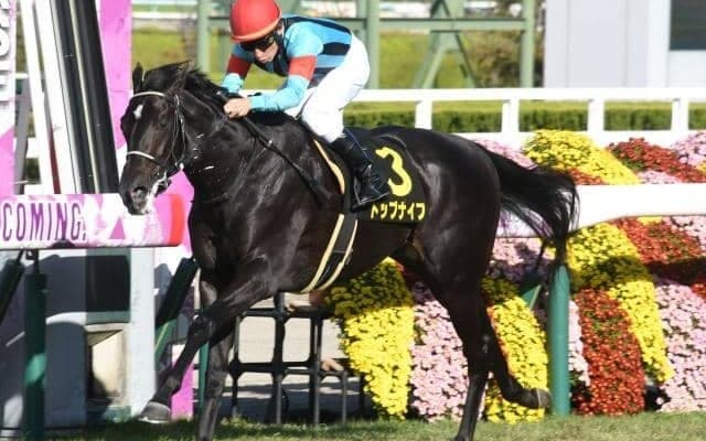 【弥生賞ディープ記念予想オッズ】トップナイフが予想1番人気