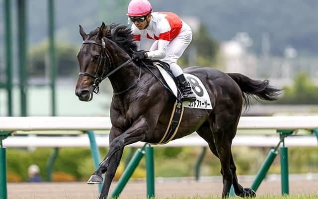 新馬戦で後のGI馬2頭に先着＆前走10馬身差勝ちの注目馬 武豊騎手と弥生賞に参戦
