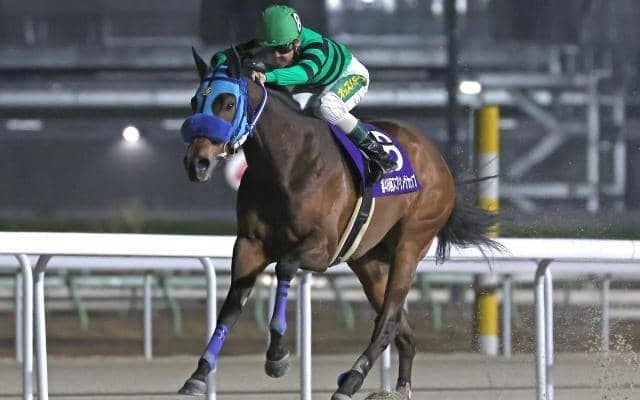 【名古屋・スプリングC結果】セブンカラーズが人気に応えて無傷6連勝