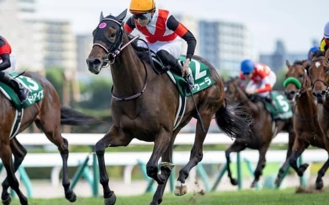 【チューリップ賞予想オッズ】ドゥーラが予想1番人気