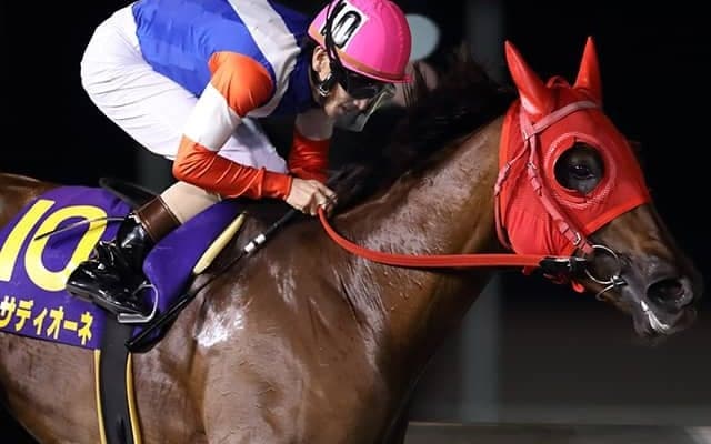地方交流重賞で5勝の9歳牝馬 ラストランのエンプレス杯でも力強い走りを