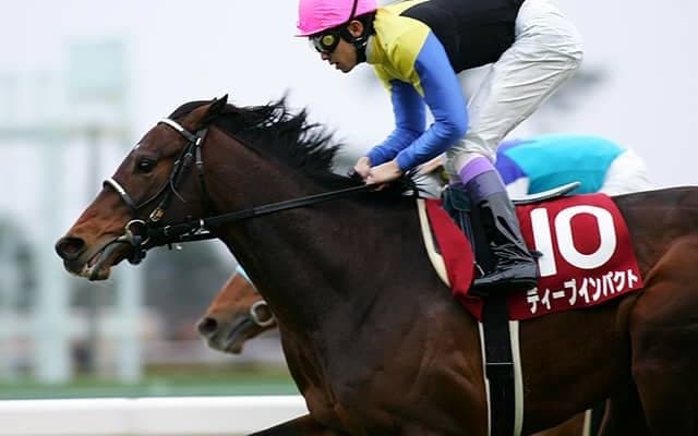 弥生賞“ディープインパクト”記念にディープ産駒の出走は今年0 血を継ぐ5頭に期待