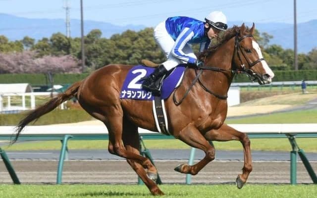 【オーシャンS展望】高松宮記念の前哨戦、逃げて押し切るのは難しい
