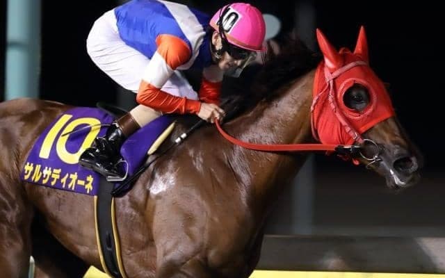 【川崎・エンプレス杯注目馬】女傑サルサディオーネが有終の美を飾るか